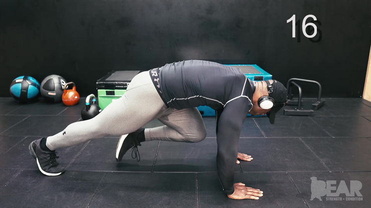 Leg Flexion and Extension